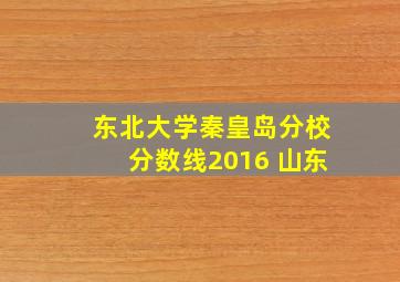 东北大学秦皇岛分校分数线2016 山东